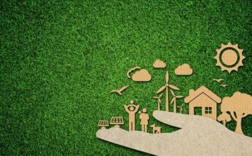 Sustainable Living: How Walkable Communities in Calgary Reduce Your Carbon Footprint Sustainable Living