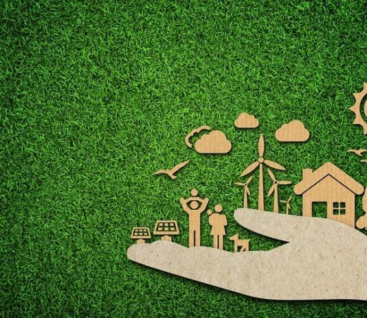 Sustainable Living: How Walkable Communities in Calgary Reduce Your Carbon Footprint Sustainable Living