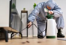 How Regular Pest Control Helps Prevent Mosquito-Borne Diseases in Clermont, Florida? Pest Control